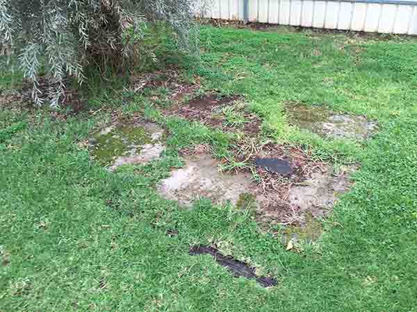 concrete removal for garden in Adelaide